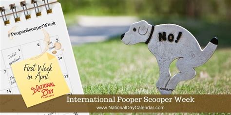 pooper scooper larkspur|April 1.